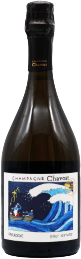 Bottiglia di Paradoxe - Brut nature — Champagne