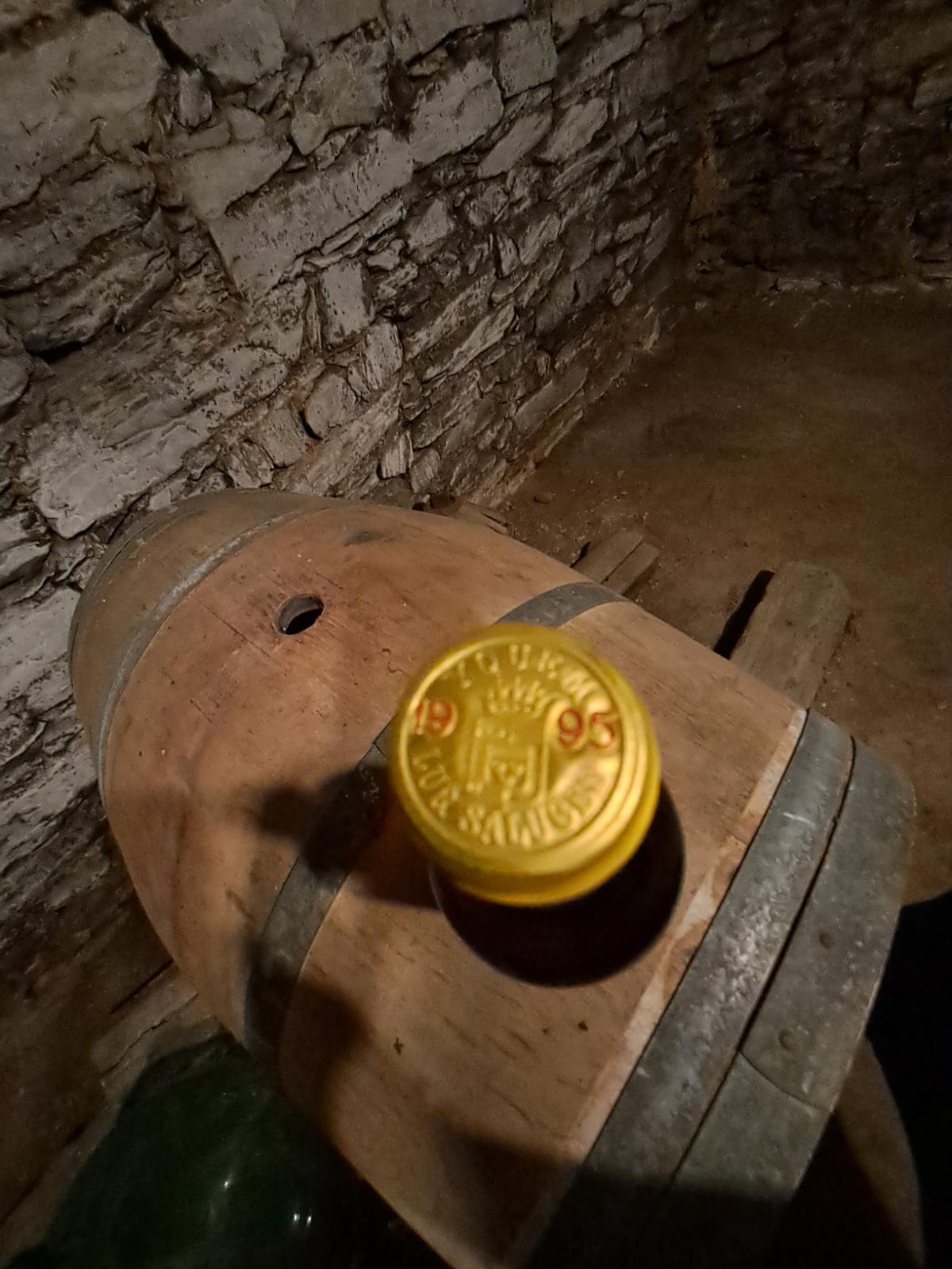 Capsule — Châteaux d'Yquem 1995 — 1001caves