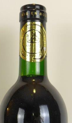 Goulot — Château de la Rivière 1989 — 1001caves