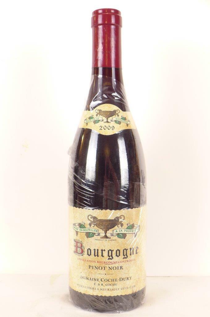 Bouteille — Bourgogne Pinot Noir 2009 — 1001caves